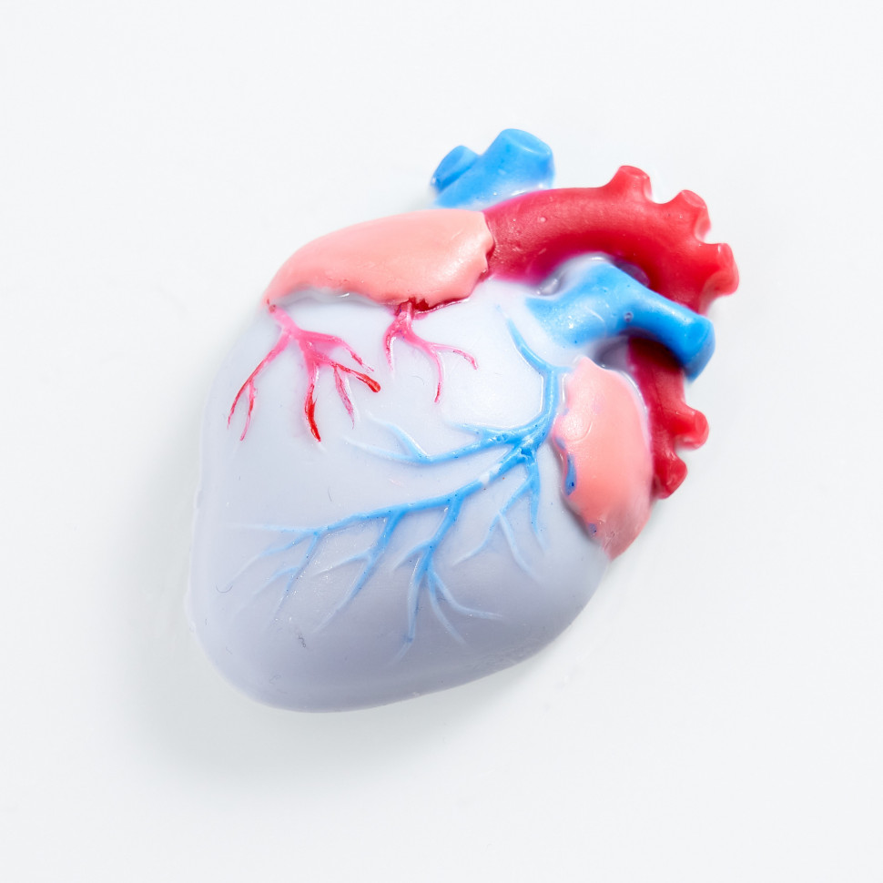 Пластиковая форма Живое сердце