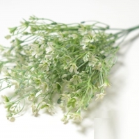 Букет хамелациум, цветок белый