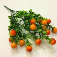 веточка зелени куст самшит и ягодки оранжевые