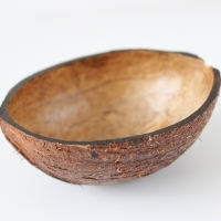 Скорлупа кокоса лакированная