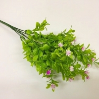 Букет зелени цветочки-ежики сиреневый