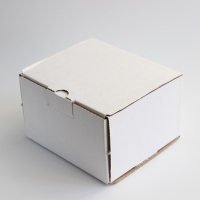 Коробка 110*100*70 мм (белая)