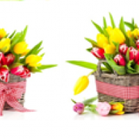 Водорастворимые картинки Букет тюльпанов