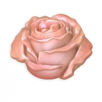 Пластиковая форма Бутон розы