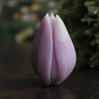 Силиконовая форма 3 формы Бутон тюльпана классический